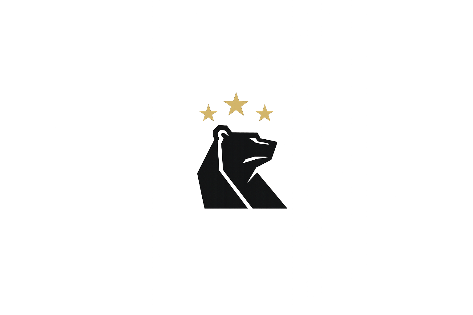 www.bearvisionai.de
